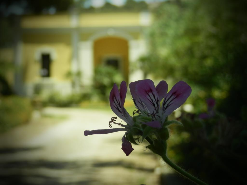 Dimora Relais Excelsa Hotel Gallipoli Luaran gambar